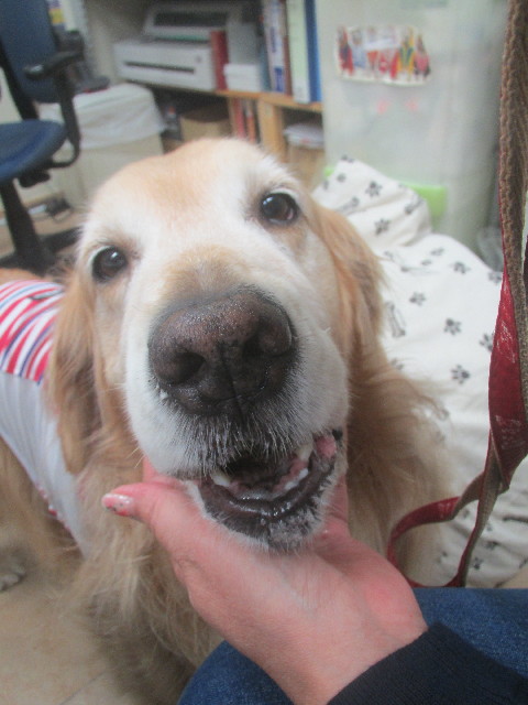 ファイル 3745-4.jpg