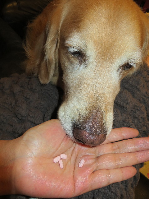 ファイル 3746-1.jpg