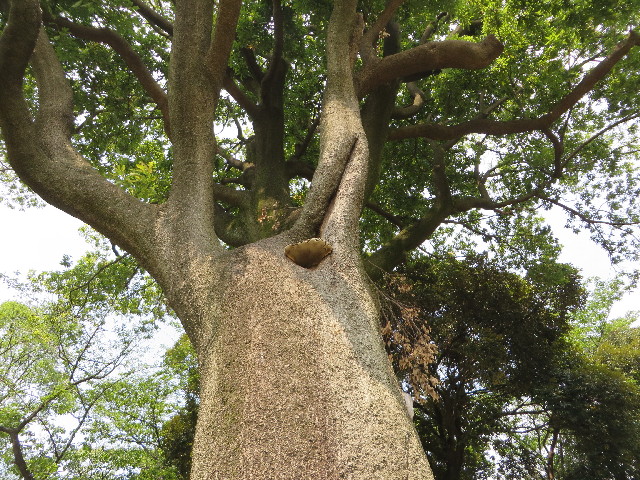 ファイル 3746-3.jpg