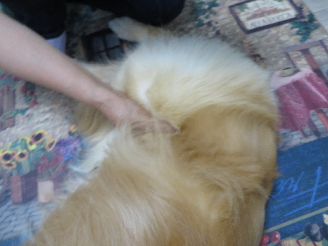 ファイル 3747-1.jpg