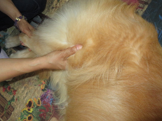 ファイル 3747-2.jpg