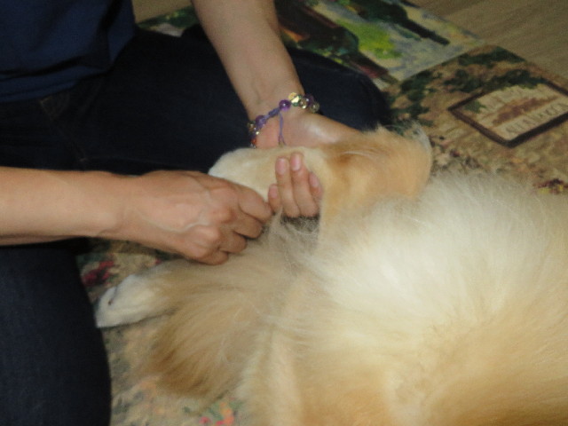 ファイル 3747-3.jpg