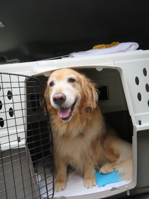 ファイル 3748-5.jpg