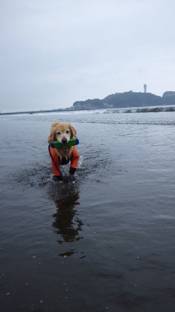 ファイル 3749-2.jpg