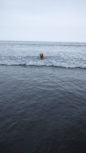 ファイル 3749-4.jpg