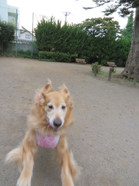 ファイル 3750-1.jpg