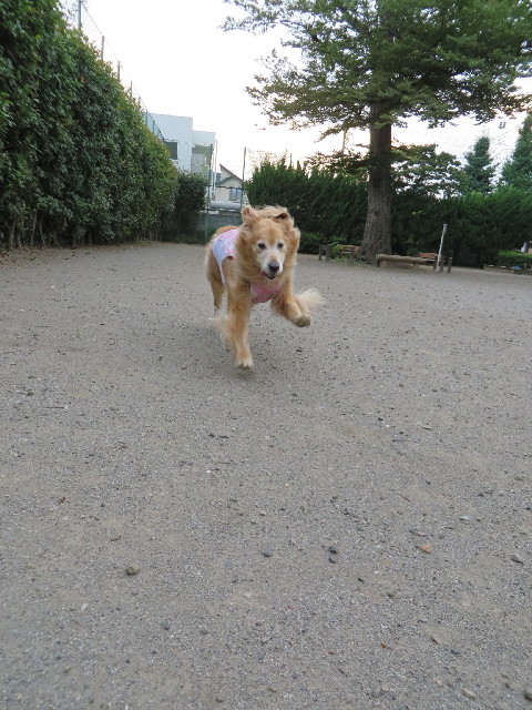 ファイル 3750-2.jpg