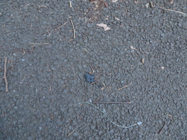 ファイル 3750-3.jpg