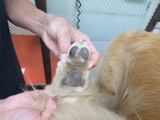 ファイル 3750-4.jpg