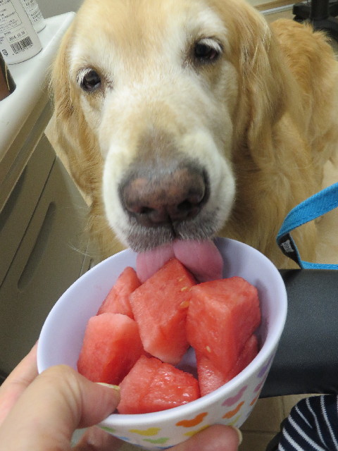 ファイル 3751-5.jpg