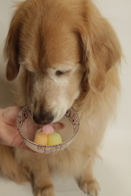 ファイル 3753-5.jpg