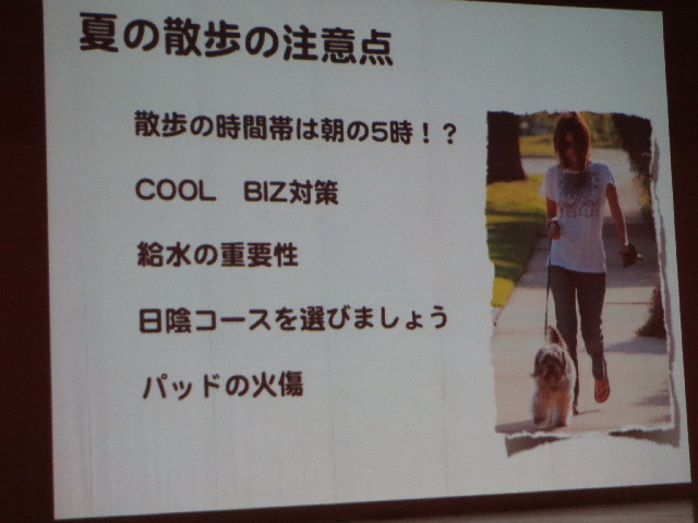 ファイル 3755-4.jpg