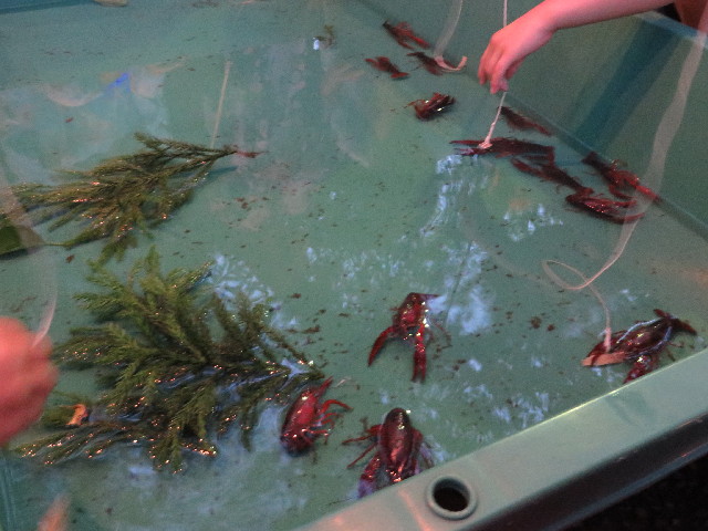 ファイル 3756-3.jpg