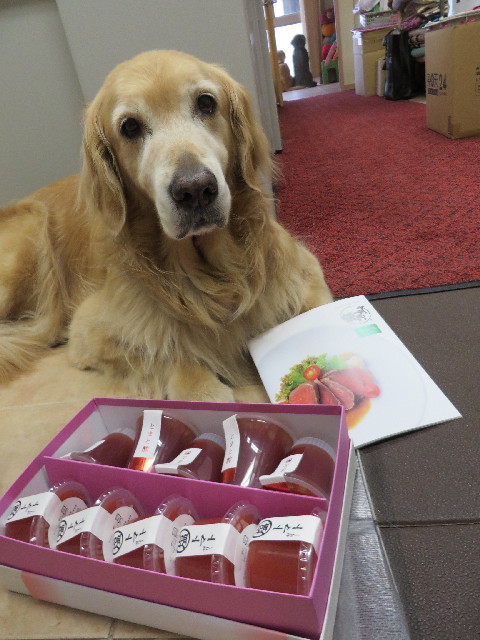 ファイル 3757-4.jpg