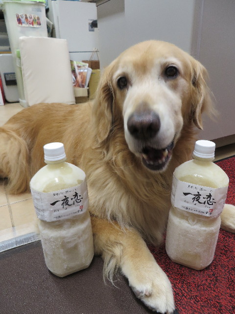 ファイル 3757-5.jpg