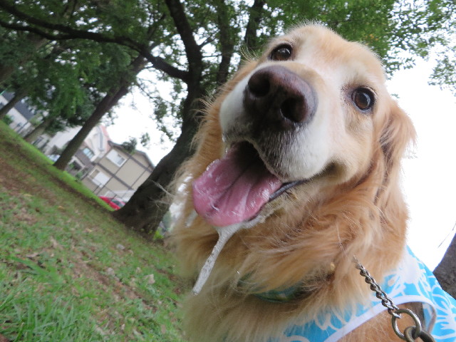 ファイル 3758-4.jpg