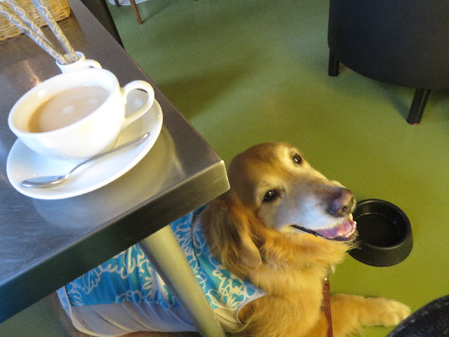 ファイル 3758-5.jpg