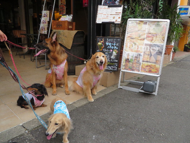 ファイル 3759-1.jpg