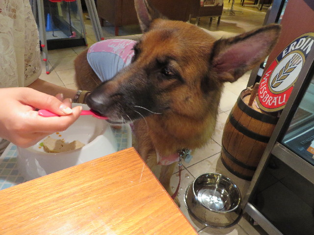 ファイル 3759-4.jpg