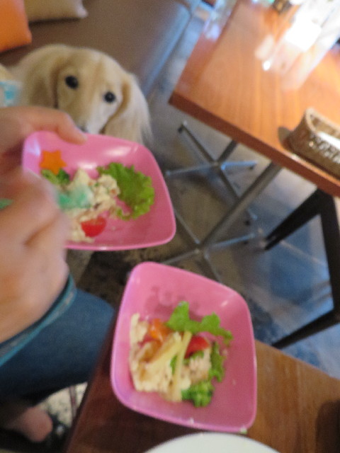 ファイル 3759-5.jpg