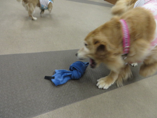 ファイル 3760-2.jpg