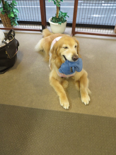 ファイル 3760-3.jpg