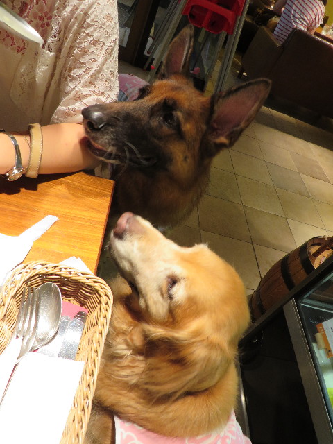 ファイル 3761-1.jpg