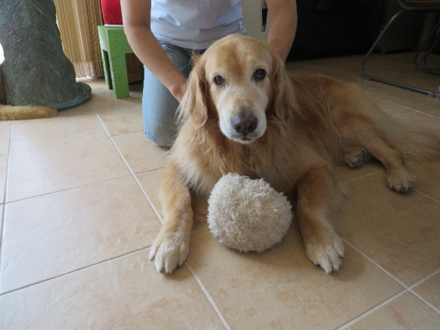 ファイル 3762-2.jpg