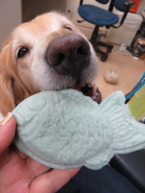 ファイル 3762-4.jpg