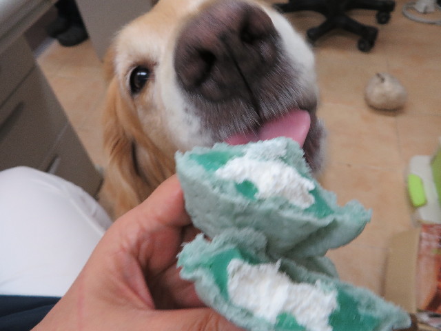 ファイル 3762-5.jpg