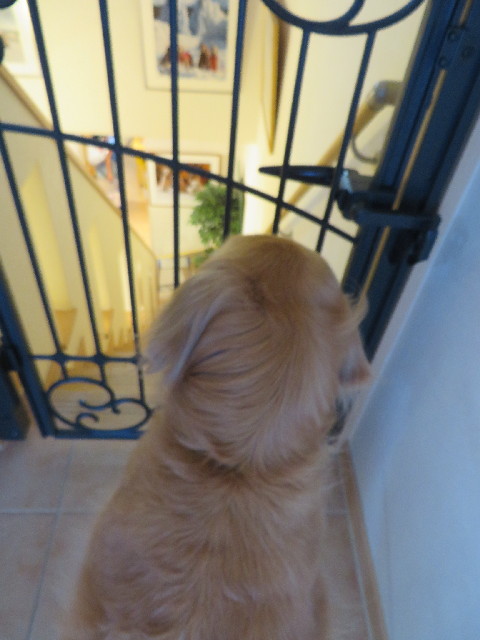 ファイル 3763-3.jpg