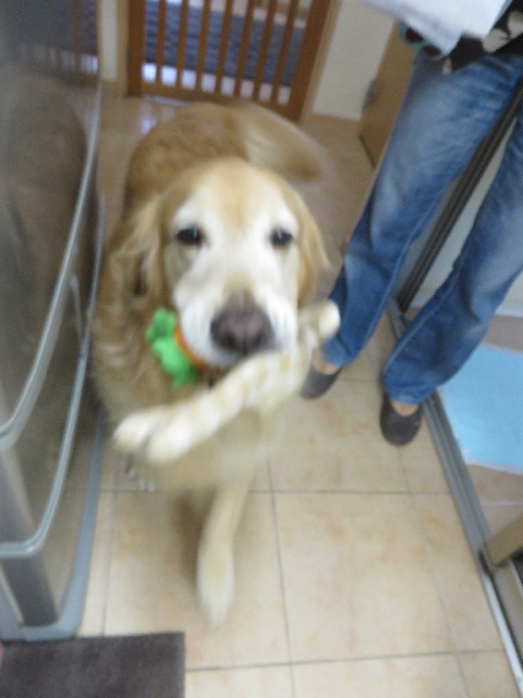 ファイル 3763-4.jpg