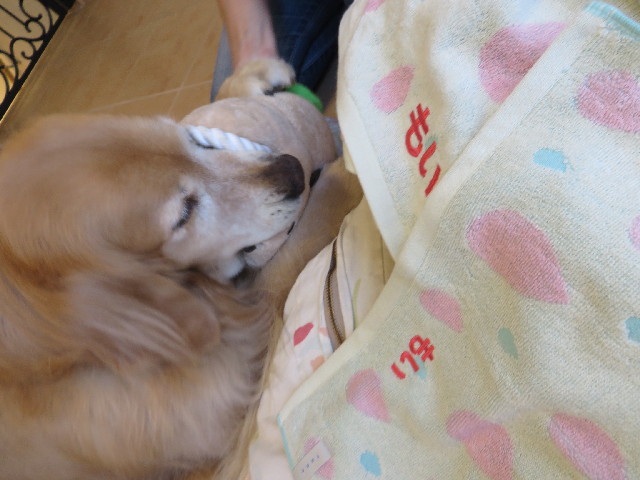 ファイル 3763-5.jpg