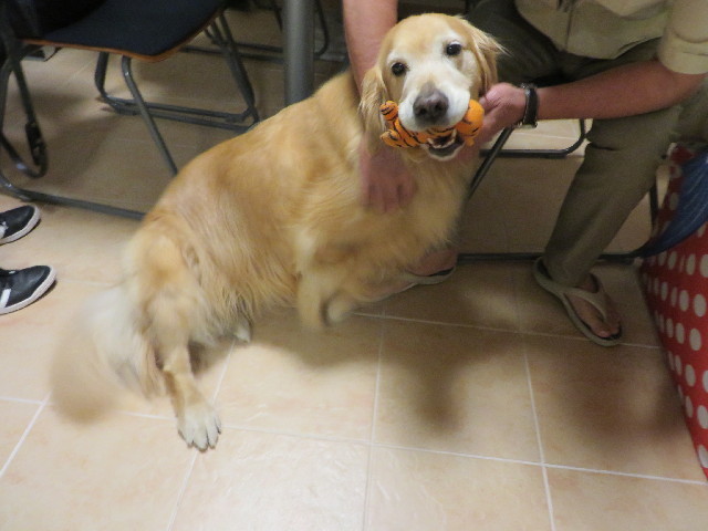 ファイル 3764-5.jpg