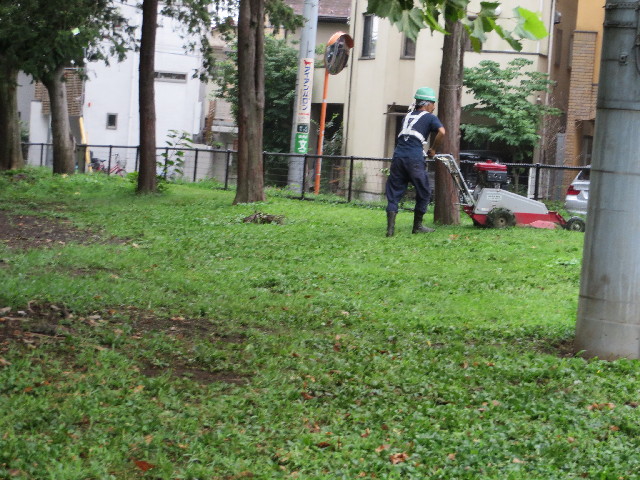 ファイル 3765-2.jpg