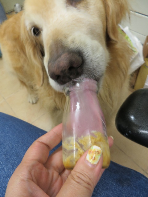 ファイル 3765-3.jpg