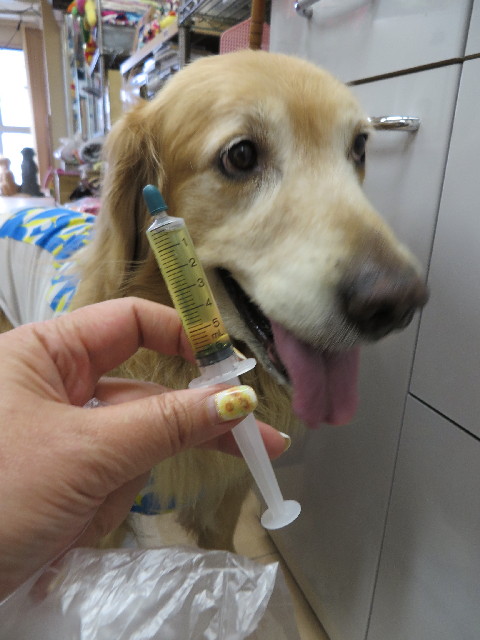 ファイル 3766-1.jpg