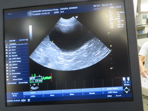 ファイル 3766-2.jpg