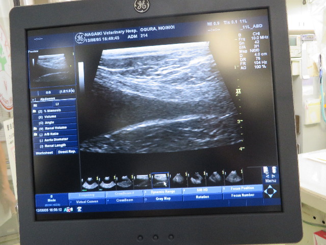 ファイル 3766-3.jpg