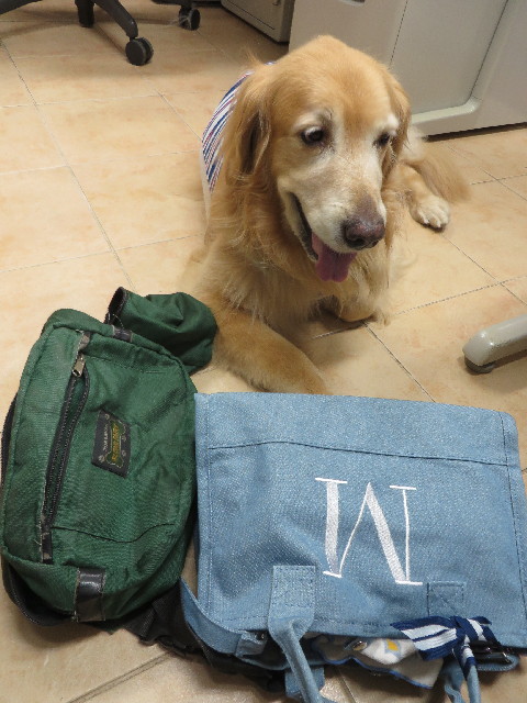 ファイル 3766-5.jpg