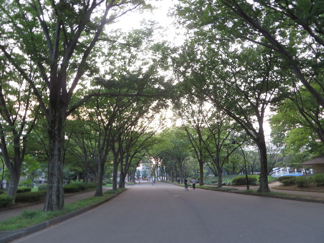 ファイル 3767-1.jpg