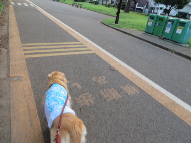 ファイル 3768-4.jpg