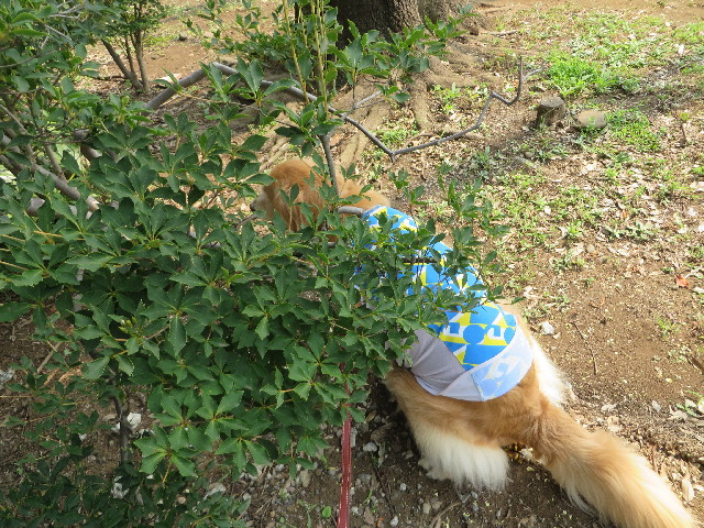 ファイル 3769-1.jpg