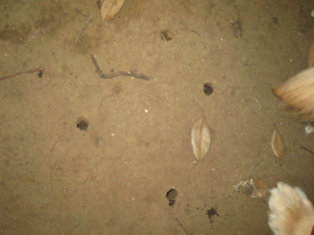 ファイル 377-2.jpg