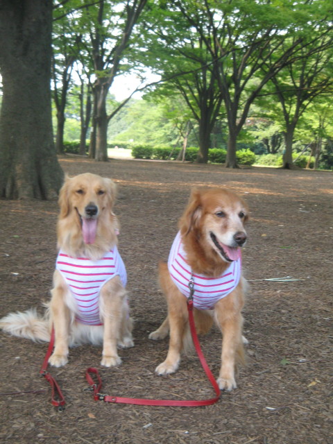 ファイル 377-3.jpg