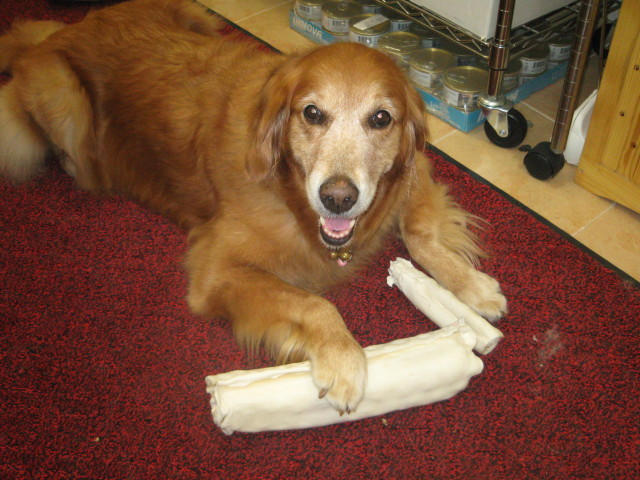 ファイル 377-4.jpg