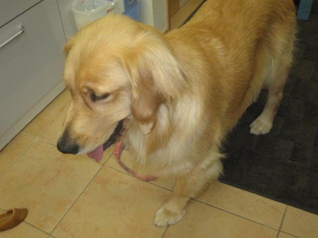 ファイル 377-5.jpg