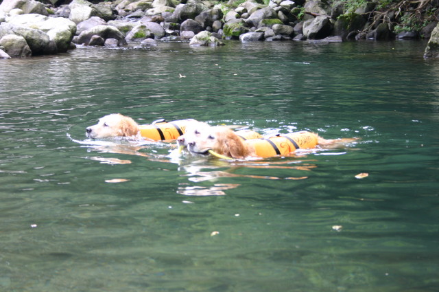 ファイル 378-5.jpg