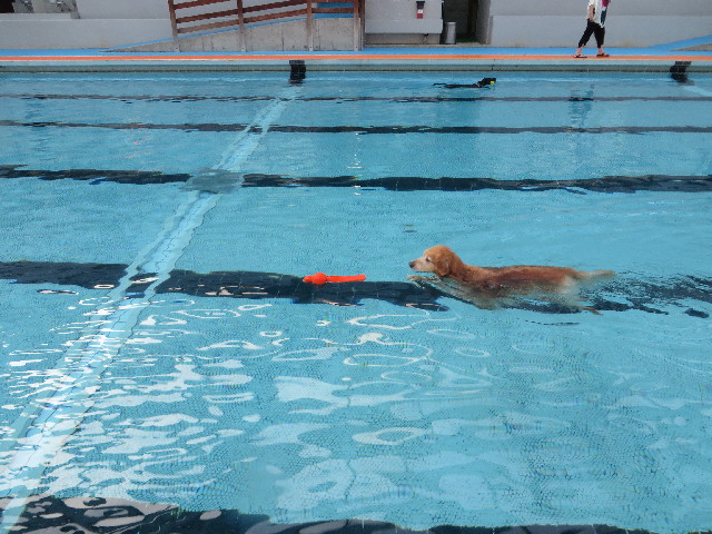 ファイル 3783-2.jpg