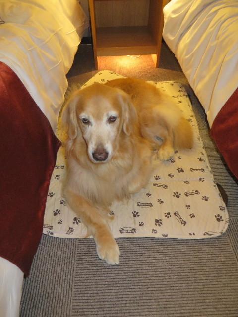 ファイル 3783-5.jpg